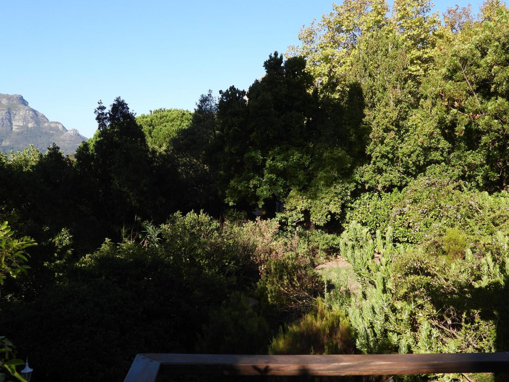 Mountain Serenity